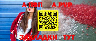 стаф Кингисепп
