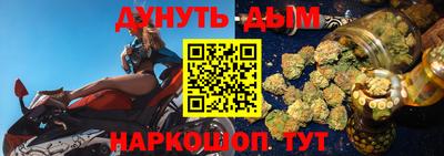 стаф Кингисепп
