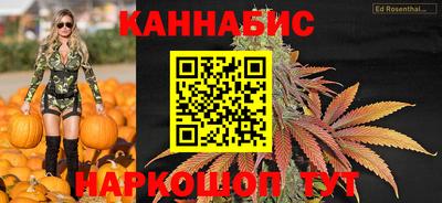 стаф Кингисепп
