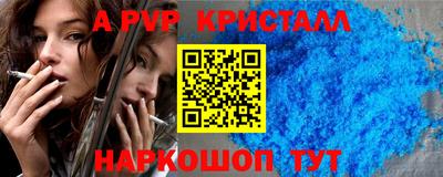 стаф Кингисепп