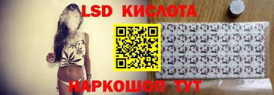 стаф Кингисепп