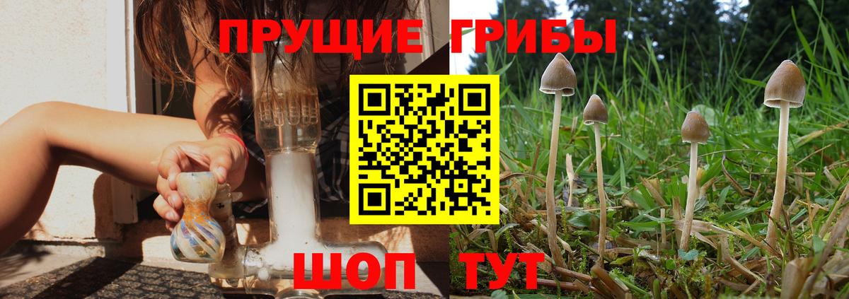 Галлюциногенные грибы Psilocybe  Псилоцибиновые грибы ЛСД  Красноярск  Вход с VPN 